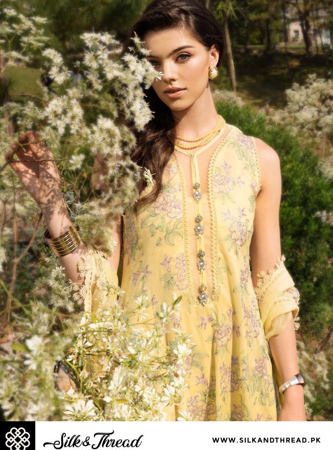 SUMMER LAWN